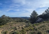 Non-developable land for sale on Camí del mas de Palanques, Llucena, ref: TR214861 photo