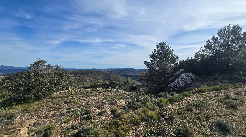 Castellón - Lucena del Cid - 73357m2