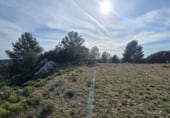 Non-developable land for sale on Camí del mas de Palanques, Llucena, ref: TR214861 photo
