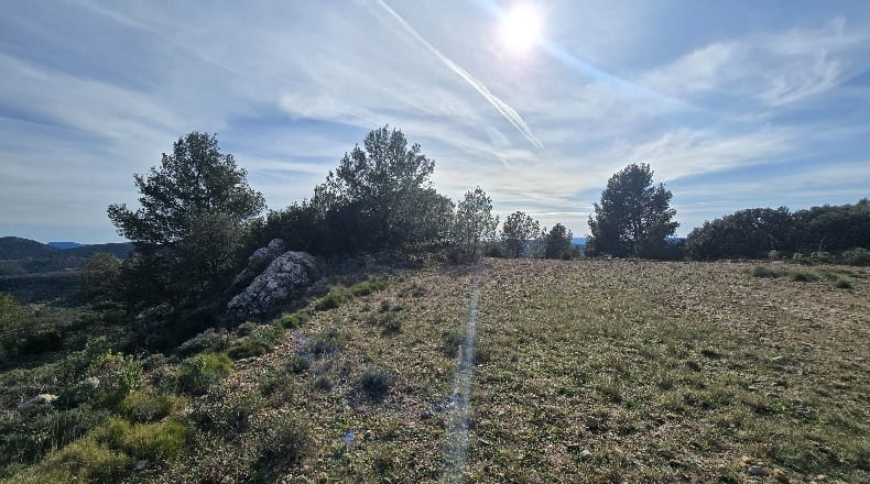 Castellón - Lucena del Cid - 73357m2