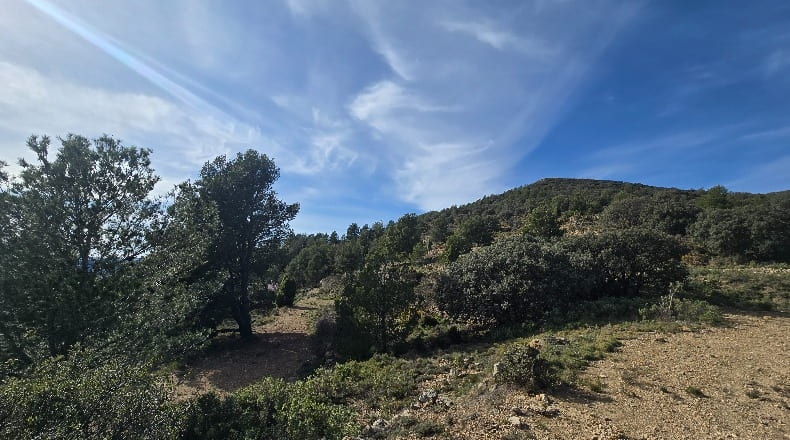 Castellón - Lucena del Cid - 73357m2
