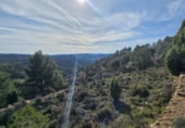 Non-developable land for sale on Camí del mas de Palanques, Llucena, ref: TR214861 photo