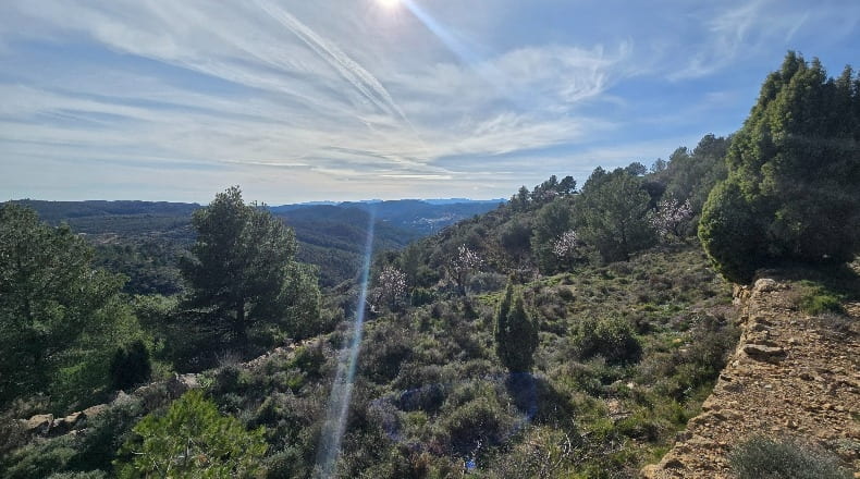 Castellón - Lucena del Cid - 73357m2