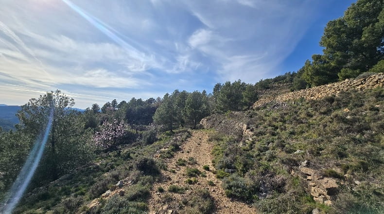Castellón - Lucena del Cid - 73357m2