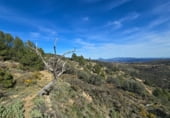 Non-developable land for sale on Camí del mas de Palanques, Llucena, ref: TR214861 photo