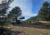Non-developable land for sale on Camí del mas de Palanques, Llucena, ref: TR214861 photo
