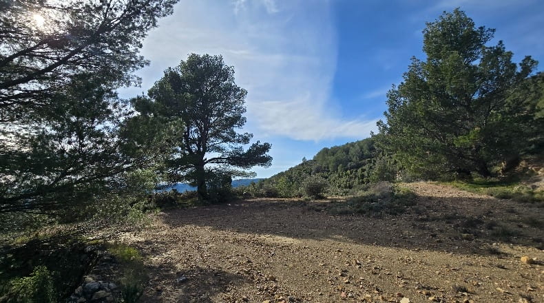 Castellón - Lucena del Cid - 73357m2