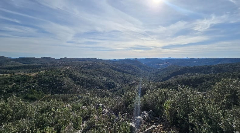 Castellón - Lucena del Cid - 73357m2