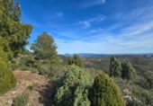 Non-developable land for sale on Camí del mas de Palanques, Llucena, ref: TR214861 photo