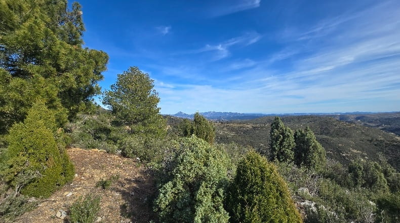 Castellón - Lucena del Cid - 73357m2