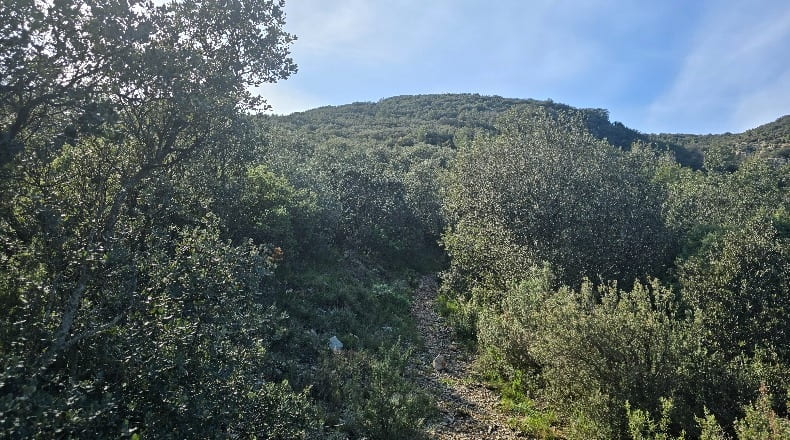 Castellón - Lucena del Cid - 73357m2