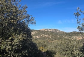 Foto 18