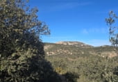 Non-developable land for sale on Camí del mas de Palanques, Llucena, ref: TR214861 photo
