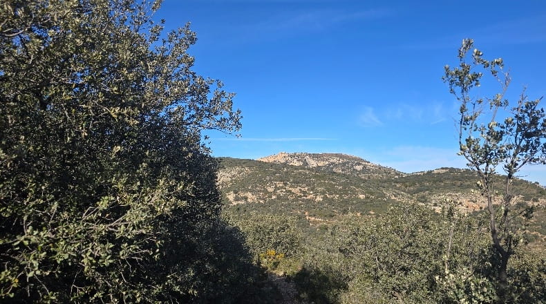 Castellón - Lucena del Cid - 73357m2