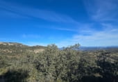 Non-developable land for sale on Camí del mas de Palanques, Llucena, ref: TR214861 photo
