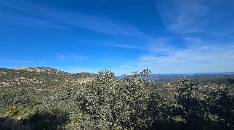 Castellón - Lucena del Cid - 73357m2