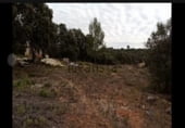 Building under construction for sale on Calle Robles, Hontoba, ref: TR215293 photo