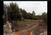 Building under construction for sale on Calle Robles, Hontoba, ref: TR215293 photo