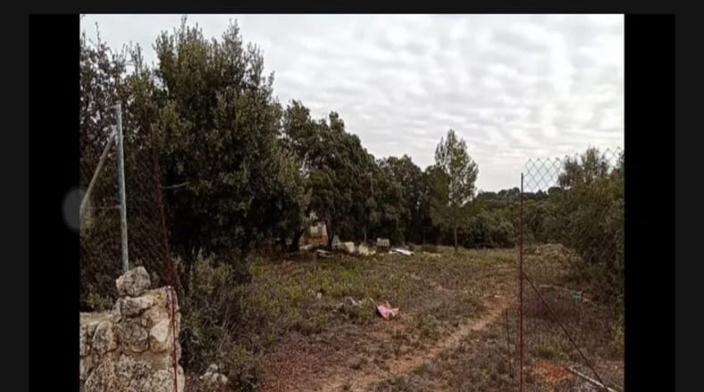 Guadalajara - Hontoba - 2780m2