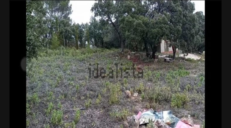 Guadalajara - Hontoba - 2780m2