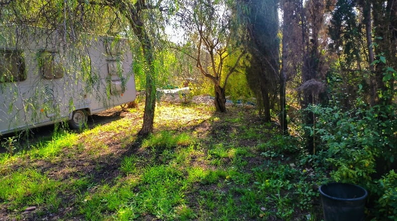 Castellon - Castelló de la Plana - 900m2