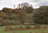 Non-developable land for sale on San Paio, ref: TR215392 photo