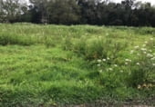 Земля на продажу у города A Paradela Фото
