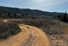 Foto 9