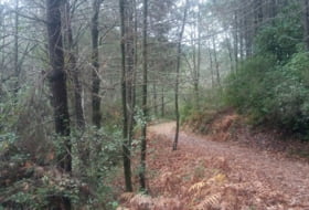 Guisando 6832&nbsp;m² 