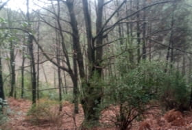 Guisando 6832&nbsp;m² 