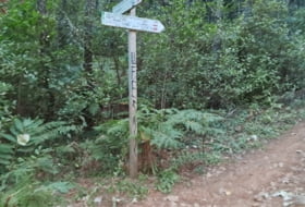 Guisando 6832&nbsp;m² 