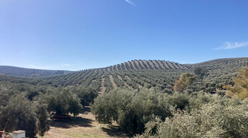 Córdoba - Rute - 143658m2