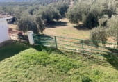 Finca rústica en venta en la DS Peña Gallo 1 Parcela 74, Rute, ref: TR216113 foto