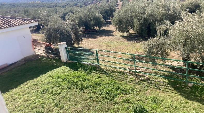 Córdoba - Rute - 143658m2
