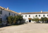 Finca rústica en venta en la DS Peña Gallo 1 Parcela 74, Rute, ref: TR216113 foto