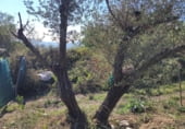 Городская земля под застройку на продажу у города Lliçà de Vall Фото