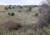 Non-developable land for sale on M-104, San Agustín del Guadalix, ref: TR91586 photo