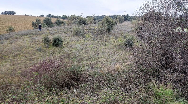 Comunidad de Madrid - Colmenar Viejo - 11603m2