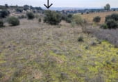Non-developable land for sale on M-104, San Agustín del Guadalix, ref: TR91586 photo