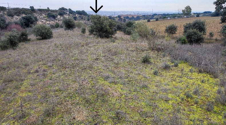 Comunidad de Madrid - Colmenar Viejo - 11603m2
