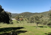Finca rústica en venda a la CO-5401 Villaviciosa-Villanueva del rey 13, Espiel, ref.: TR216360 foto