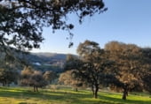 Finca rústica en venda a la CO-5401 Villaviciosa-Villanueva del rey 13, Espiel, ref.: TR216360 foto