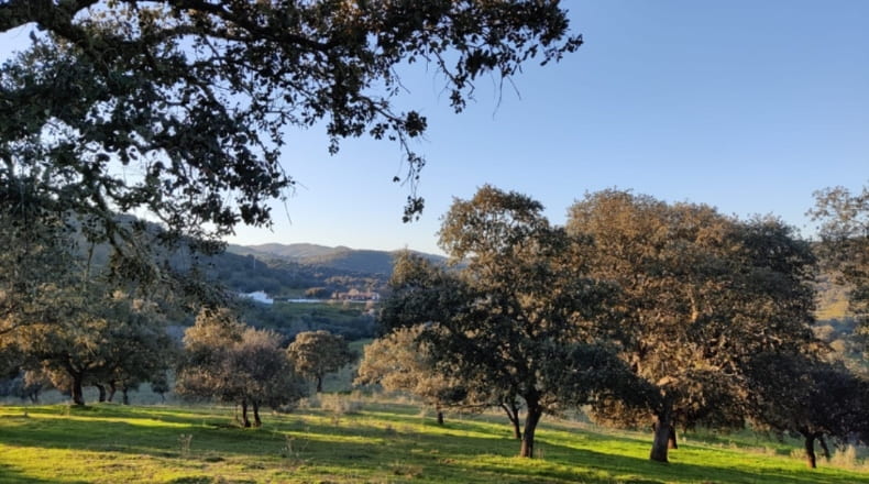 Córdoba - Espiel - 290000m2