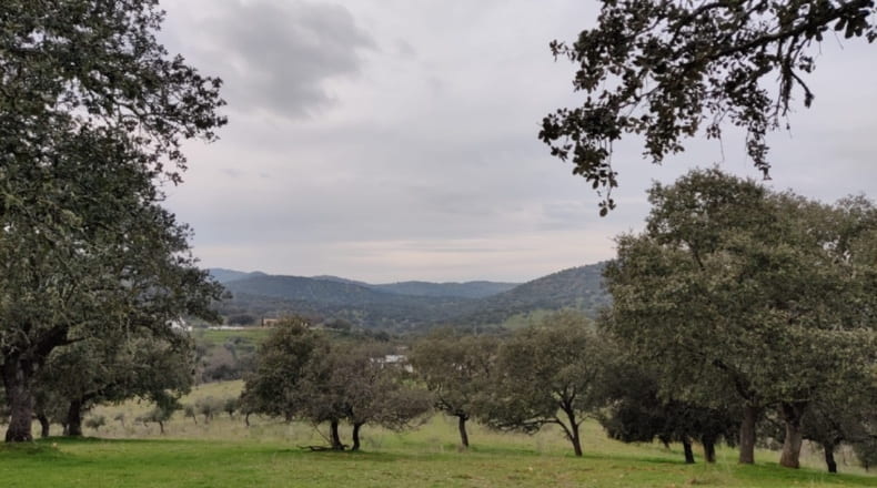 Córdoba - Espiel - 290000m2