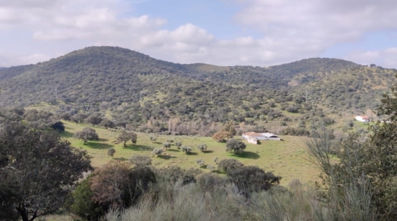 Córdoba - Espiel - 290000m2