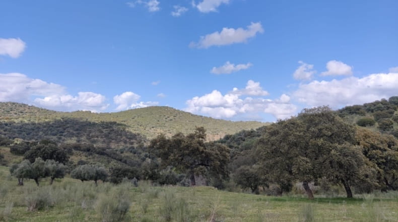 Córdoba - Espiel - 290000m2