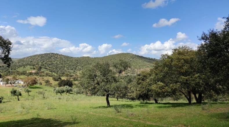 Córdoba - Espiel - 290000m2