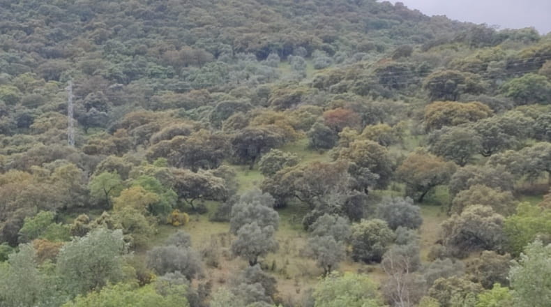 Córdoba - Espiel - 290000m2