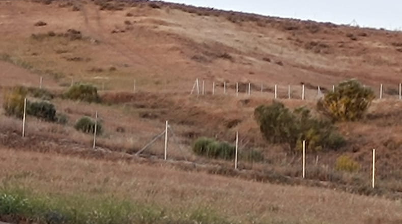 Comunidad de Madrid - El Molar - 45000m2