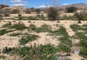 Land with ruins for sale on Carrer de l'Almirall Estrada, la Vila Joiosa, ref: TR216517 photo